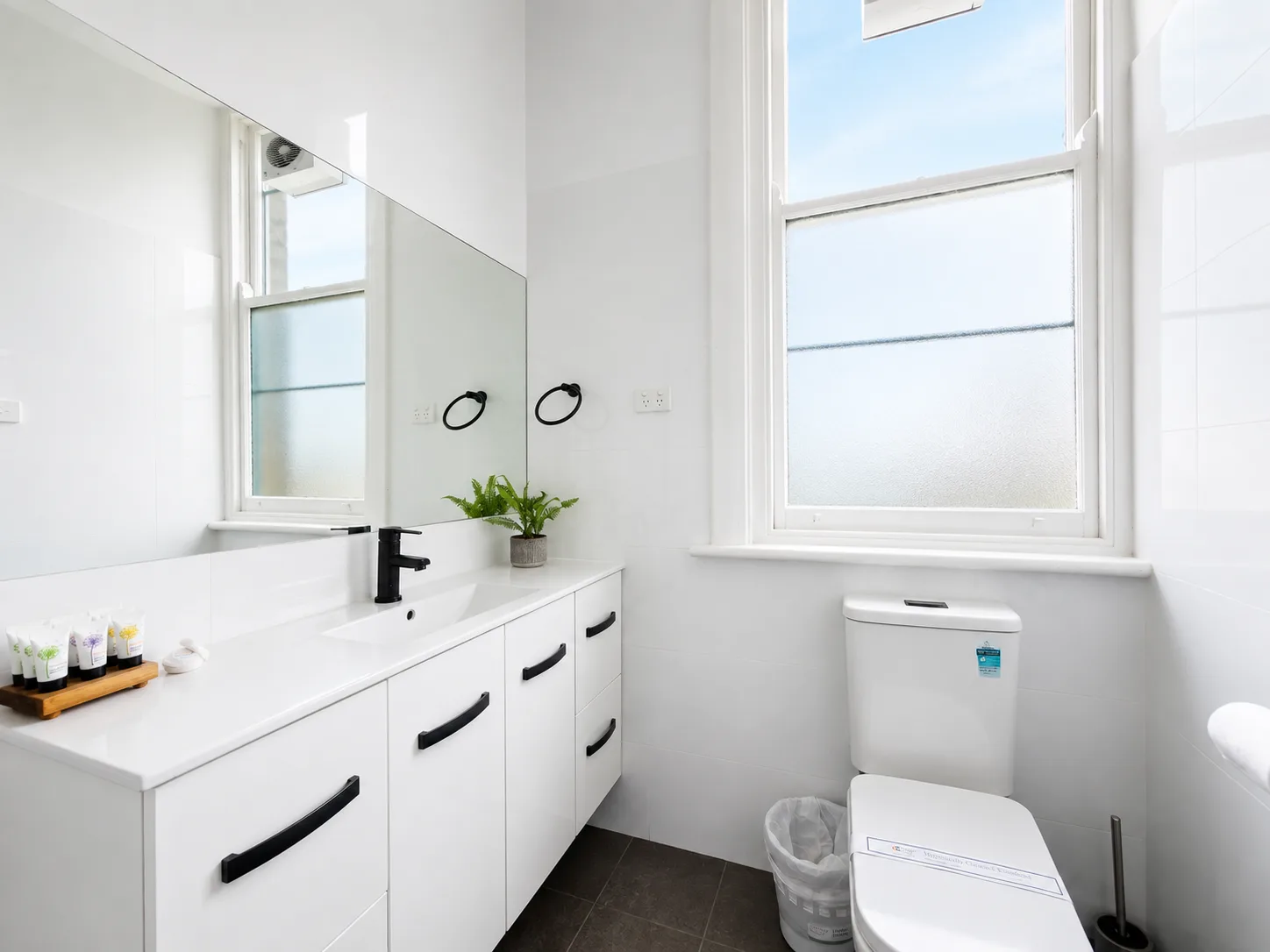 Bathroom vanity with toiletries — Twin Room at Vine Valley Inn Cessnock